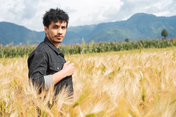 Молодой Латиноамериканец Стоящий Посреди Золотого Пшеничного Поля Наслаждающийся Закатом Летом — стоковое фото