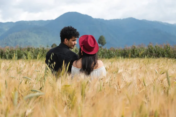 Genç bir çiftin altın bir buğday tarlasının ortasında gün batımını birlikte izlediği arka plan.