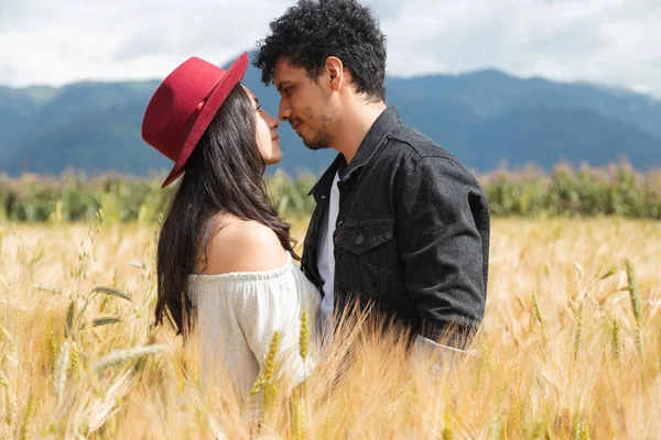 Mutlu genç çift gün batımında buğday tarlasında eğlenirken İspanyol çift tarlanın ortasında birbirini izliyor.