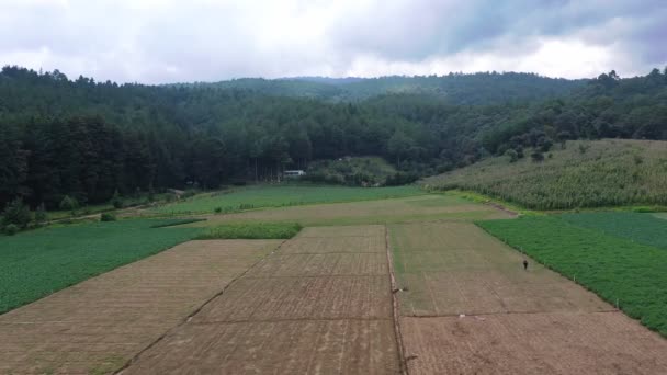Foto Aérea Campo Agricultura Entre Montañas Con Granjeros Rociando Plantación — Vídeo de stock