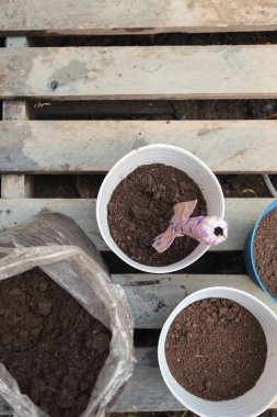 Bahçeye ekilecek toprak dolu çömlekler - ev bahçesi elementleri - kürek ve çömlek dolu toprak torbaları