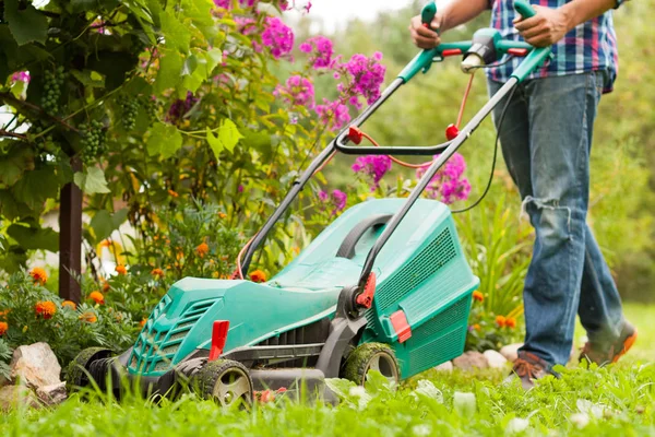 Young Male Gardener Mow Grass With Lawn Mower In Garden In Summer. Working In Garden.