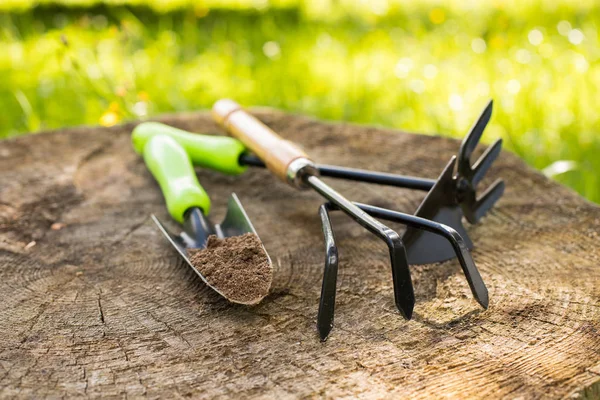Gardening Tools Hoe Trowel Wooden Stump Sunny Day Spring Garden — Stock Photo, Image