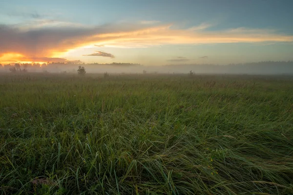 夏の夕暮れの下で緑の草原に霧と美しい風光明媚な風景 — ストック写真