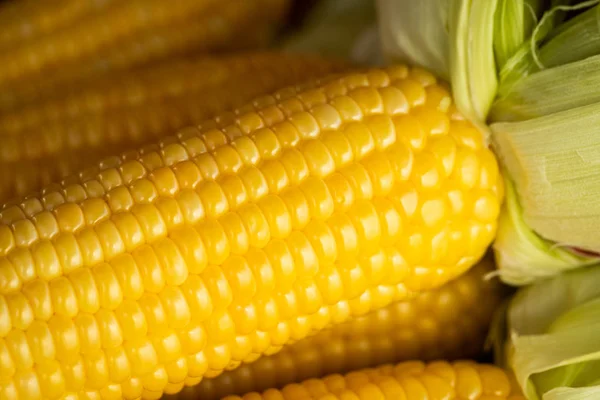 Fresh Sweet Yellow Corn With Leaves Close Up.