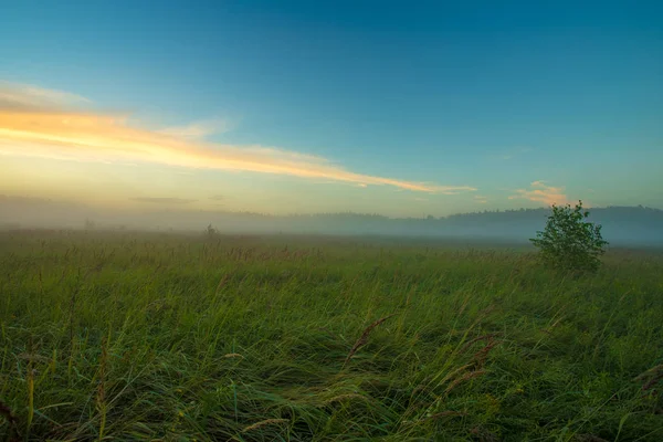 Beautiful Scenic Landscape Fog Green Meadow Sunrise Early Morning Summer — Stock Photo, Image