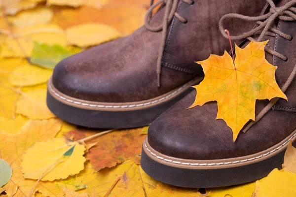 Close Scarpe Pelle Marrone Con Piccolo Acero Foglia Gialla Colorate — Foto Stock