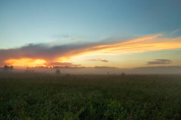 Paisaje Escénico Pradera Verde Con Niebla Densa Bajo Una Nube — Foto de Stock