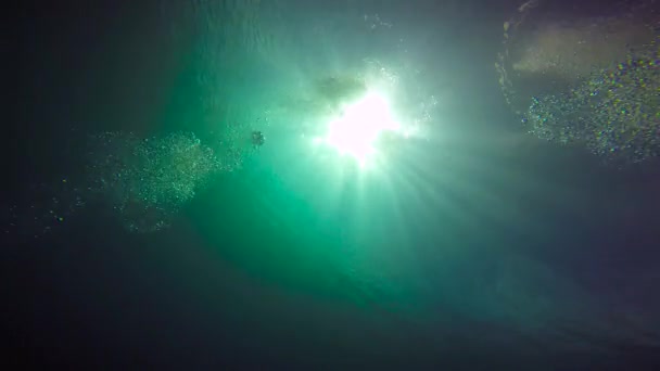 Мексика Захоплюючий Підводний Дайвінг Море Кортеса — стокове відео