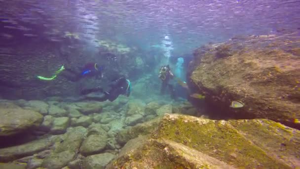 Mexico Fascinerende Onderwater Duiken Zee Van Cortez — Stockvideo