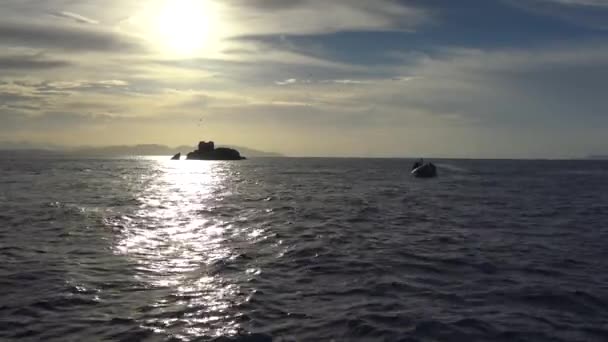 Mexico Paz Schilderachtige Kust Van Golf Van Californië — Stockvideo