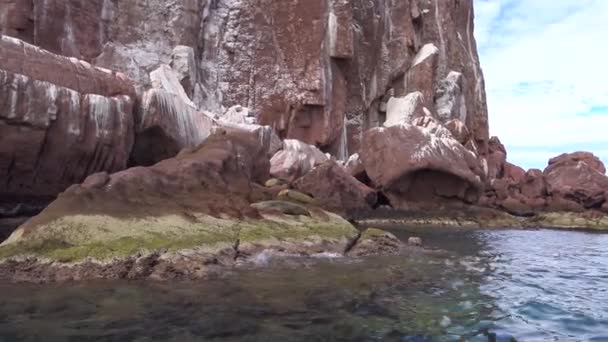 Мексика Пас Мальовниче Узбережжя Каліфорнійської Затоки Ущільнення — стокове відео