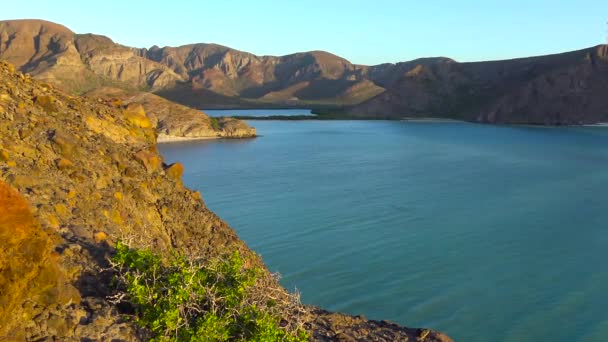 Messico Paz Pittoresca Costa Del Golfo California — Video Stock