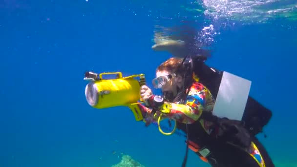 México Fascinante Buceo Submarino Con Focas — Vídeo de stock