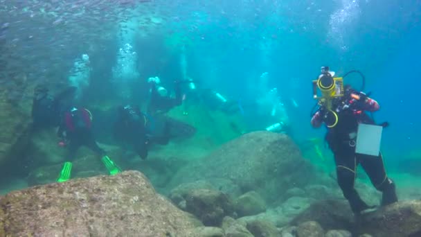 Messico Affascinanti Immersioni Subacquee Nel Mare Cortez — Video Stock