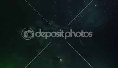  Meksika. Deniz ışınları mobula sürüleri ile dalış deniz Cortez.Exciting gece. 