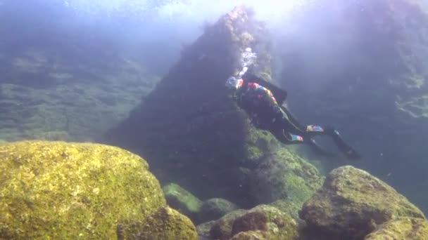 メキシコ コルテス海の魅惑的な水中ダイビング — ストック動画