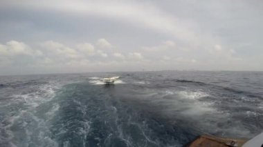 Büyüleyici bir deniz Safari-Maldivler takımadalar Adaları boyunca bir gezi. 