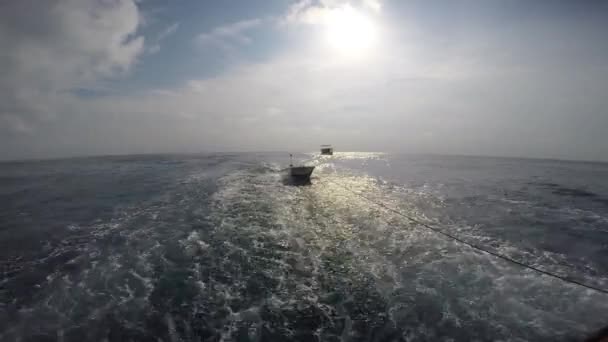 Hermoso Atardecer Fascinante Safari Viaje Por Las Islas Del Archipiélago — Vídeo de stock