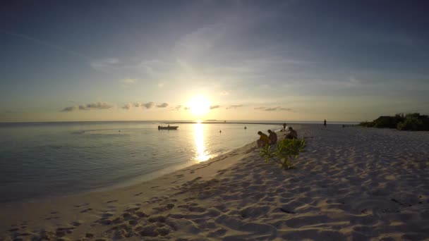 美丽的日落 马尔代夫群岛上迷人的海上野生动物园之旅 — 图库视频影像