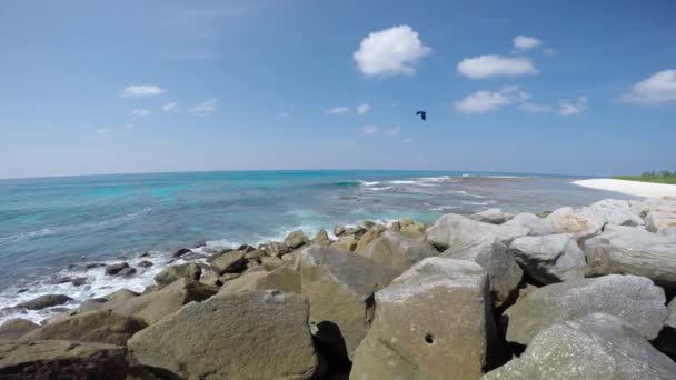 モルディブ諸島の島々に沿った魅力的な海サファリ旅行 — ストック動画