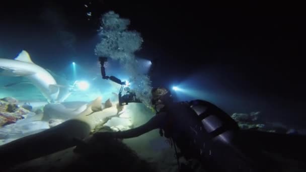 与鲨鱼夜间潜水 马尔代夫珊瑚礁上迷人的水肺潜水 — 图库视频影像
