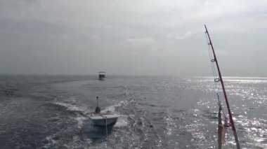 Büyüleyici bir deniz Safari-Maldivler takımadalar Adaları boyunca bir gezi. 