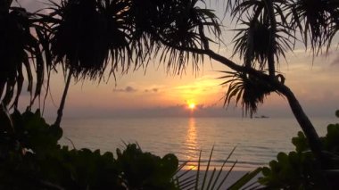 Güzel gün batımı. Büyüleyici bir deniz Safari-Maldivler takımadalar Adaları boyunca bir gezi. 