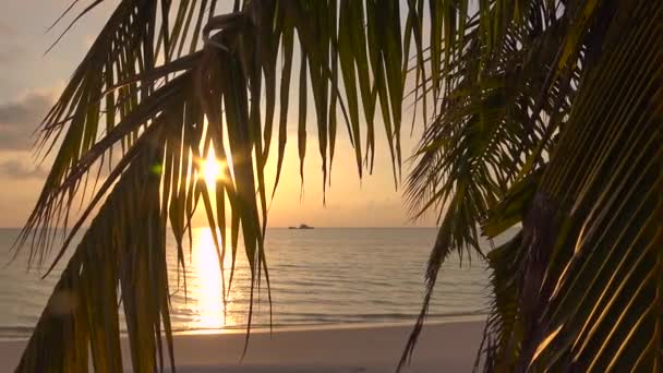 Güzel Gün Batımı Büyüleyici Bir Deniz Safari Maldivler Takımadalar Adaları — Stok video