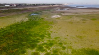 Krasnodar rezervuarı kuraklık yüzünden sığ hale geldi. Rusya.