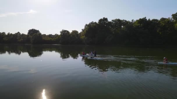 Wasserfahrten Auf Der Sup Borde — Stockvideo