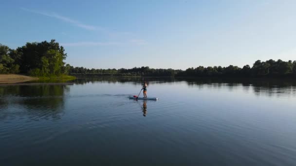 Wasserfahrten Auf Der Sup Borde — Stockvideo