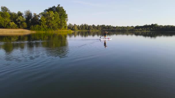 Vatten Rider Sup Borde — Stockvideo