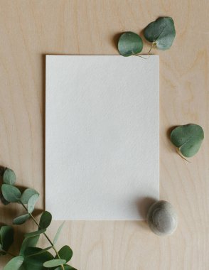 Ökaliptüs dalı ve yapraklı doğal ahşap masa üzerinde fotokopi alanı boş arkaplan. Kopyalama alanı olan üst görünüm, düz görünüm, en düşük biçim.