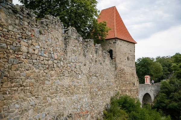 Middeleeuws Gotisch Kasteel Zvikov Klingenberg Een Rots Boven Samenvloeiing Van — Stockfoto