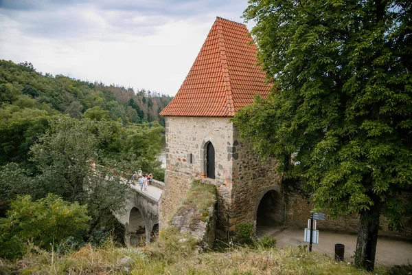 Középkori Gótikus Vár Zvikov Vagy Klingenberg Egy Sziklán Moldva Otava — Stock Fotó