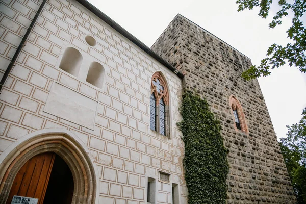 Middeleeuws Gotisch Kasteel Zvikov Klingenberg Een Rots Boven Samenvloeiing Van — Stockfoto