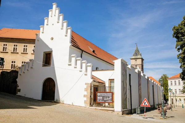 Tentoonstellingshal Gallery Masne Kramy Vleeswinkels Het Centrum Van Plzen Zonnige — Stockfoto