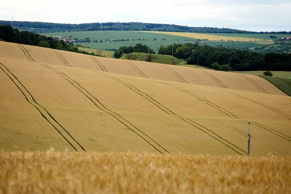 Moravian Tuscany. Field photography with many lines and grass. Rolling landscape around Kyjov, South Moravia, Czech Republic, July 06, 2020