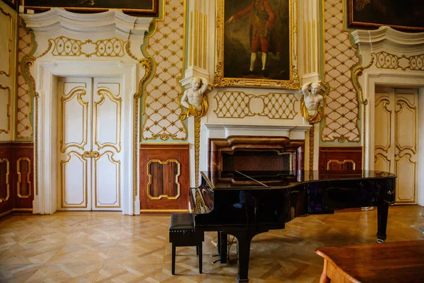 Burginnenraum Großer Saal Mit Gemälden Weißgoldener Stuck Den Wänden Schloss — Stockfoto