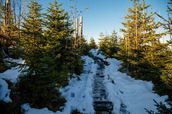 Μονοπάτι Στο Χιόνι Εθνικό Πάρκο Sumava Nova Pec Τσεχική Δημοκρατία — Φωτογραφία Αρχείου