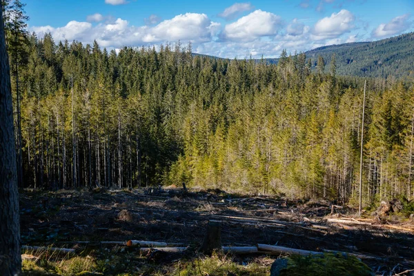 Parc National Sumava Nova Pec République Tchèque Septembre 2020 — Photo