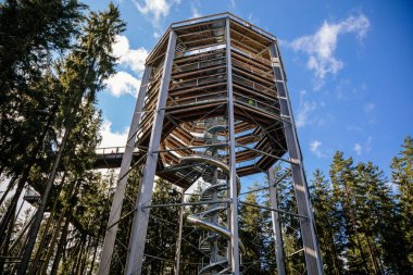 Treetop Walkway (Stezka korunami stromu) güneşli bir günde Lipno nad Vltavou, Güney Bohemya, Çek Cumhuriyeti, 27 Eylül 2020