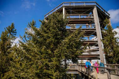 Treetop Walkway (Stezka korunami stromu) güneşli bir günde Lipno nad Vltavou, Güney Bohemya, Çek Cumhuriyeti, 27 Eylül 2020