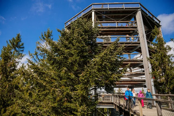 Treetop Walkway Stezka Korunami Stromu Par Temps Ensoleillé Lipno Nad — Photo