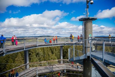 Treetop Walkway (Stezka korunami stromu) güneşli bir günde Lipno nad Vltavou, Güney Bohemya, Çek Cumhuriyeti, 27 Eylül 2020