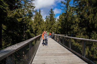 The Treetop Walkway 'deki turistler Sumava Ulusal Parkı, Lipno nad Vltavou, Güney Bohemya, Çek Cumhuriyeti, 27 Eylül 2020