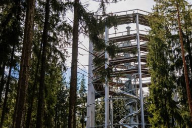 Treetop Walkway (Stezka korunami stromu) güneşli bir günde Lipno nad Vltavou, Güney Bohemya, Çek Cumhuriyeti, 27 Eylül 2020