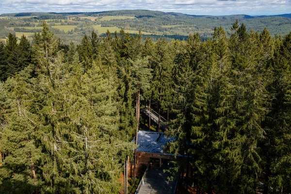 Entré Till Treetop Walkway Turistattraktion Nära Lipno Nad Vltavou Sydböhmen — Stockfoto
