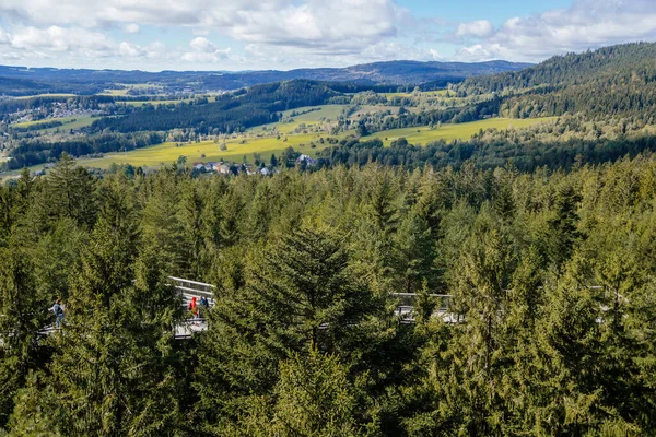 Panorama Des Sumana Nationalparks Kramolin Und Slupecny Vrch Vom Baumwipfelpfad — Stockfoto